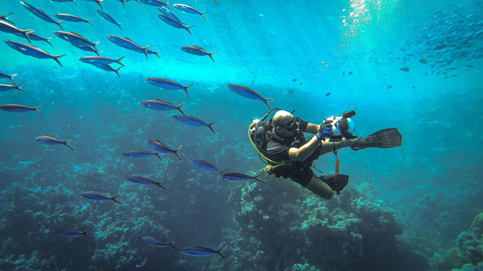 Mazen Said – Creative Director & Cinematic Filmmaker