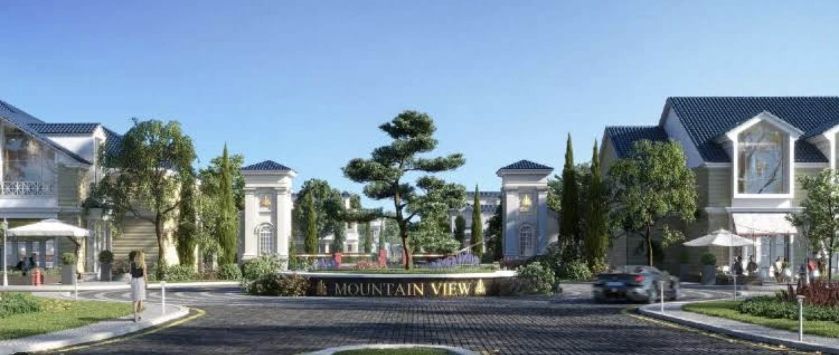 Mountain View for Development and Real Estate Investment