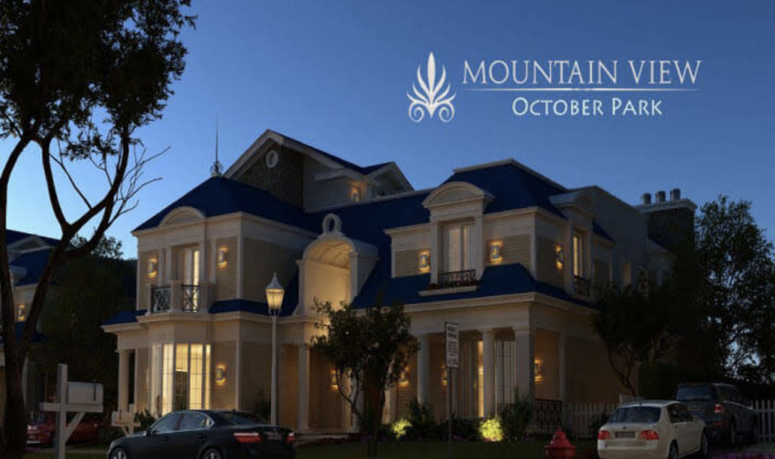 Mountain View for Development and Real Estate Investment