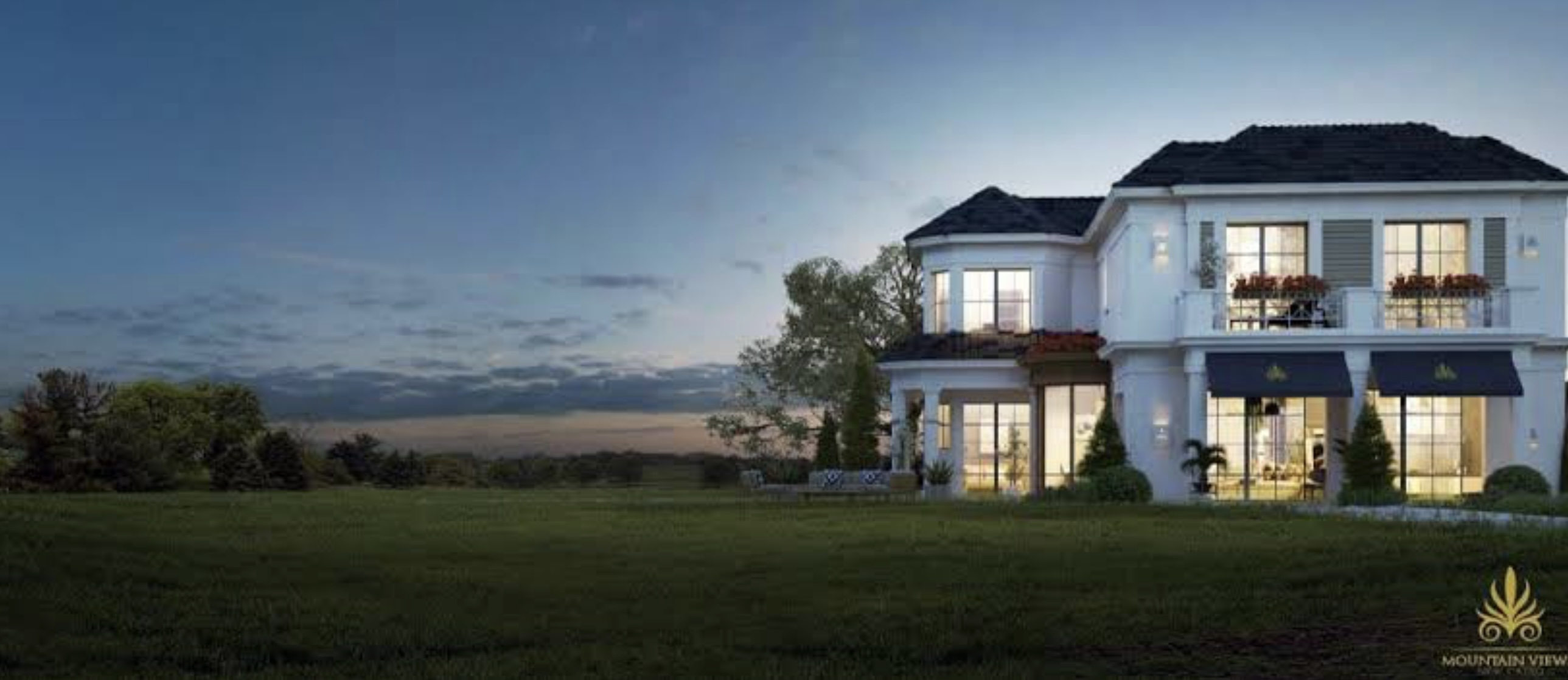 Mountain View for Development and Real Estate Investment