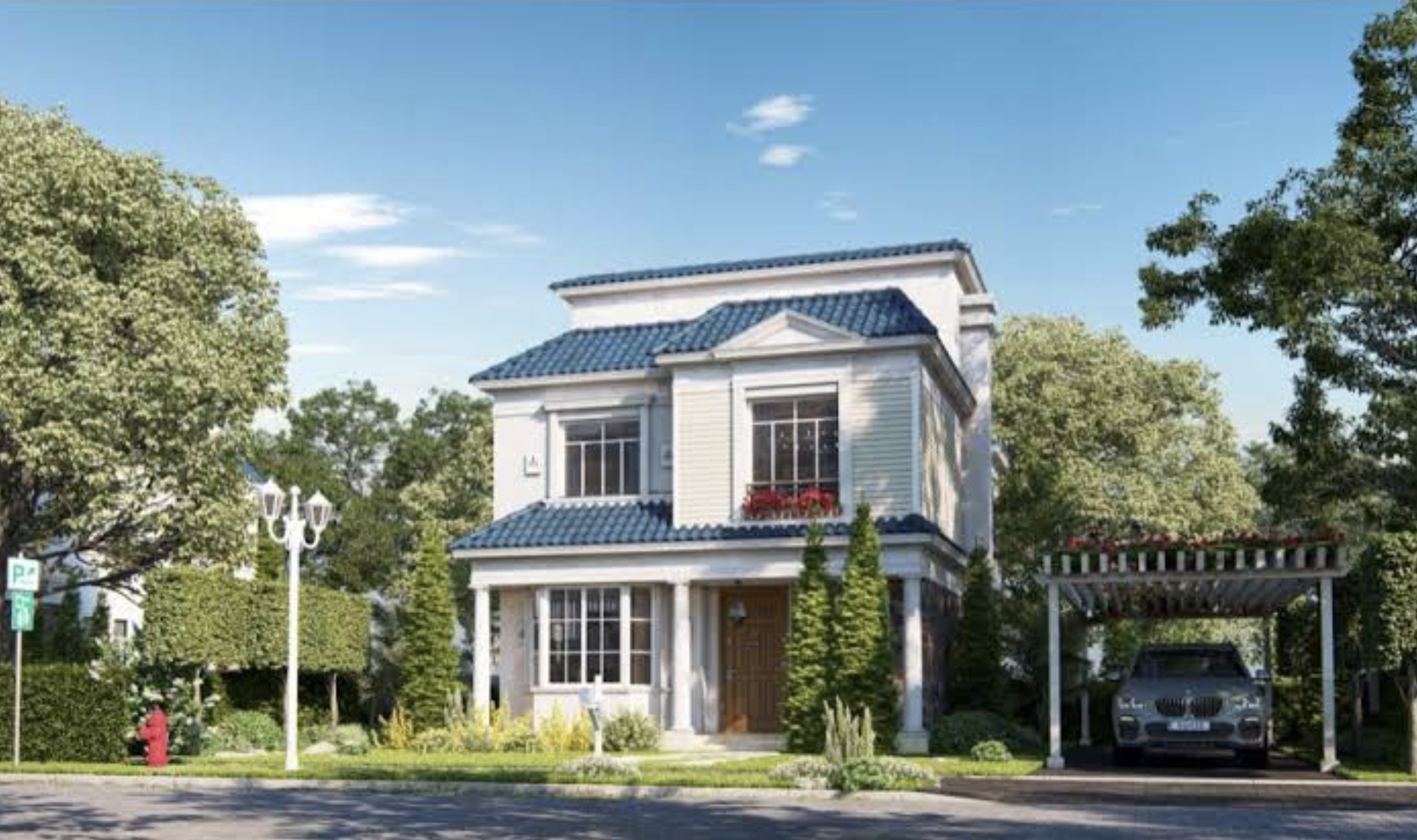 Mountain View for Development and Real Estate Investment