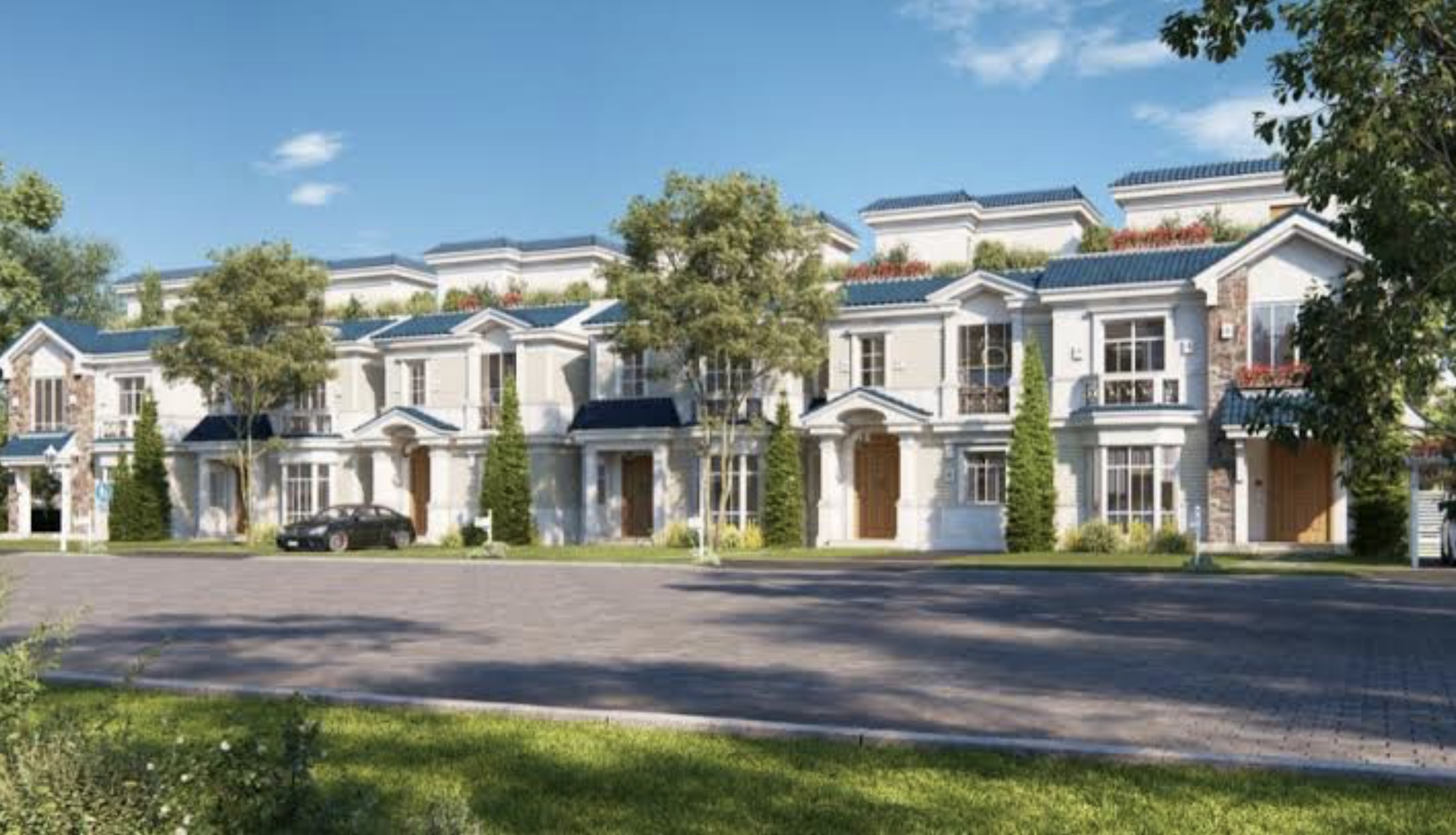 Mountain View for Development and Real Estate Investment