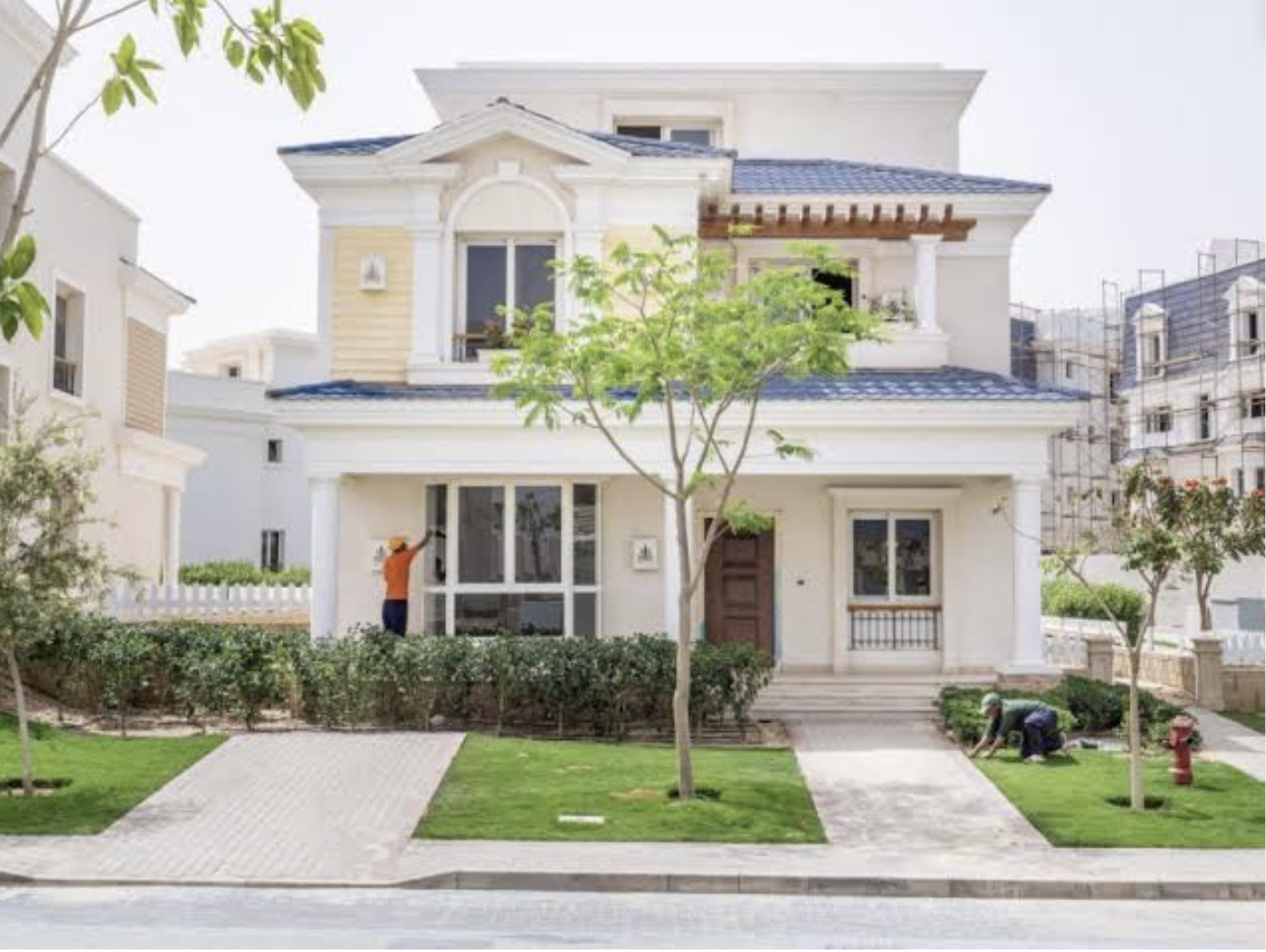 Mountain View for Development and Real Estate Investment