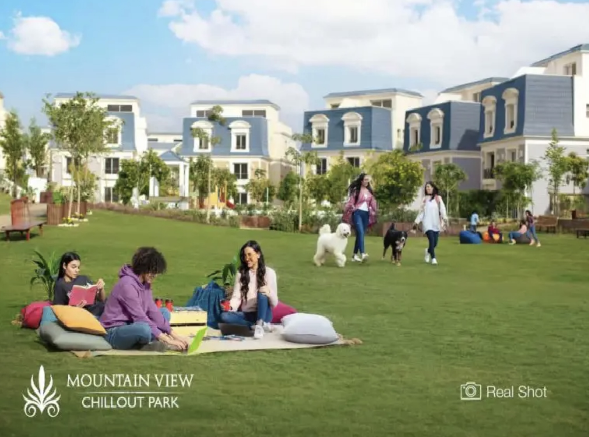 Mountain View for Development and Real Estate Investment