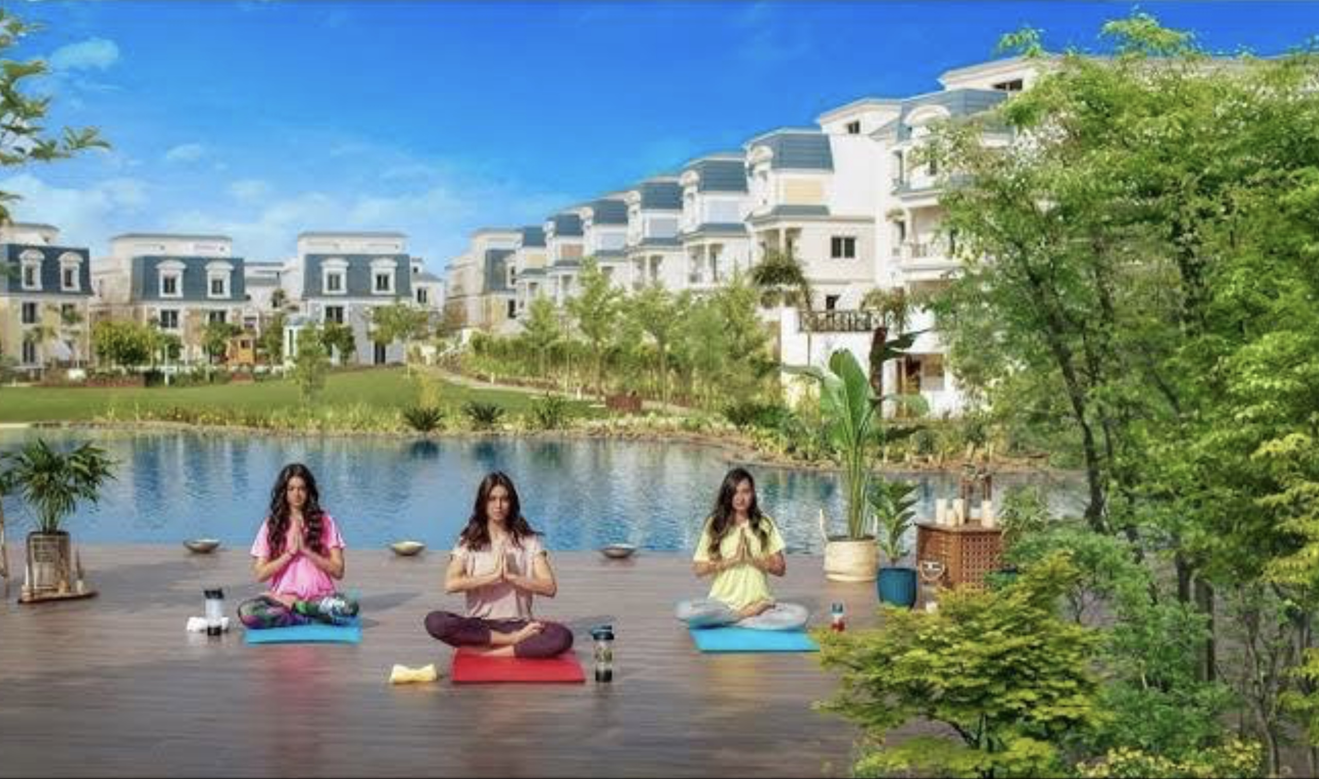 Mountain View for Development and Real Estate Investment