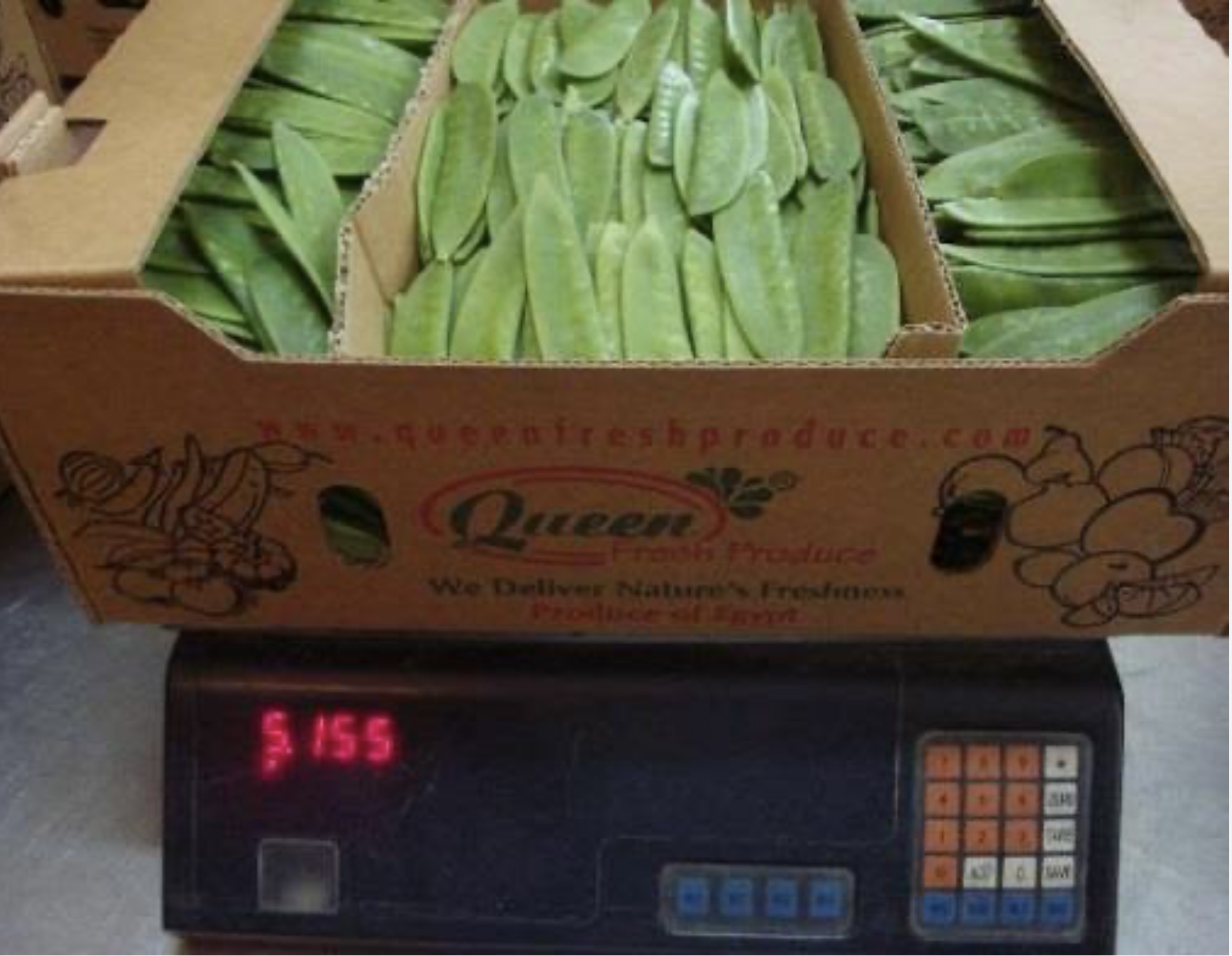 Queen Fresh Produce