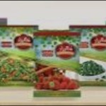 Upper Egypt for Export