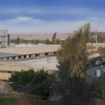 🧵 BTM – Bishara Textile & Garment Manufacturing Co. (Egypt)