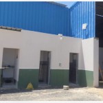 Brown Horse Animal Feed