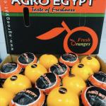 Agro Egypt Ghallab
