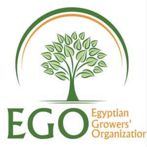 Egyptian Growers