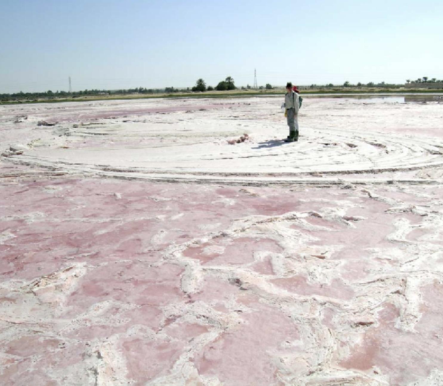 Wadi El Natrun Salts