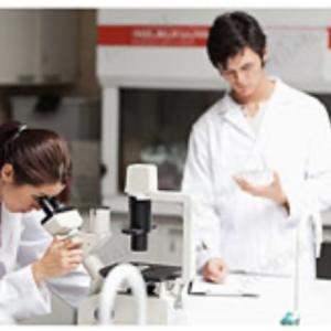 Sigma Chemical Egypt