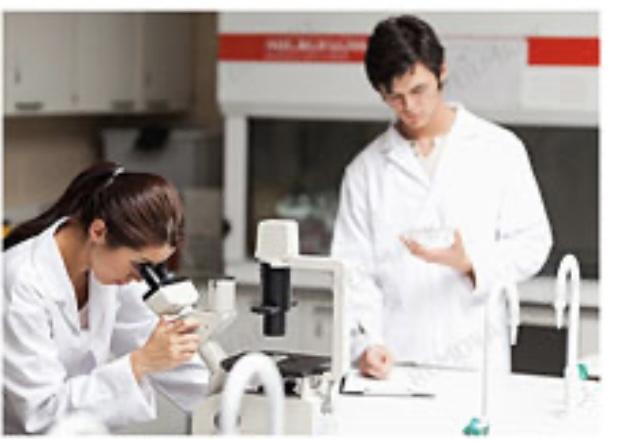 Sigma Chemical Egypt