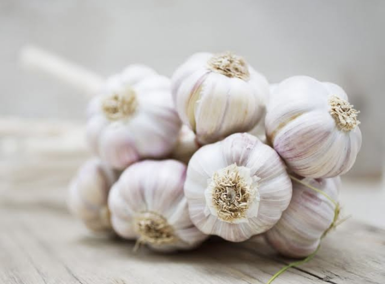 Garlic