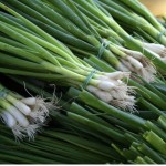 Fresh green onion