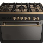 Fresh Professional Gold Gas Cooker