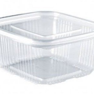 Plastic Food Container