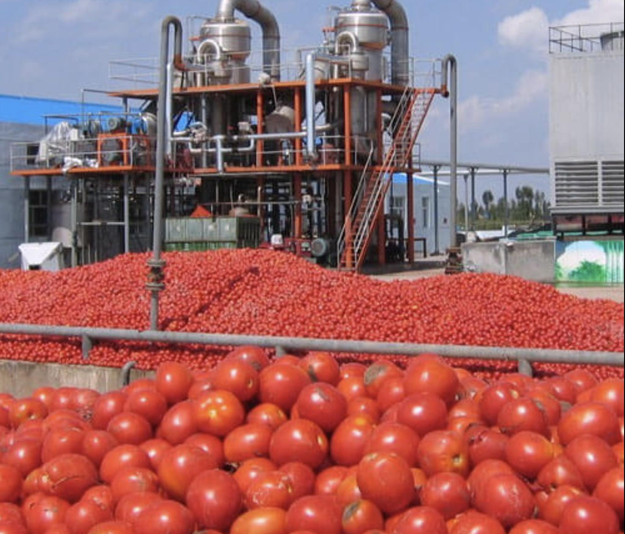 Integrated Agro-Processing & Storage Complex