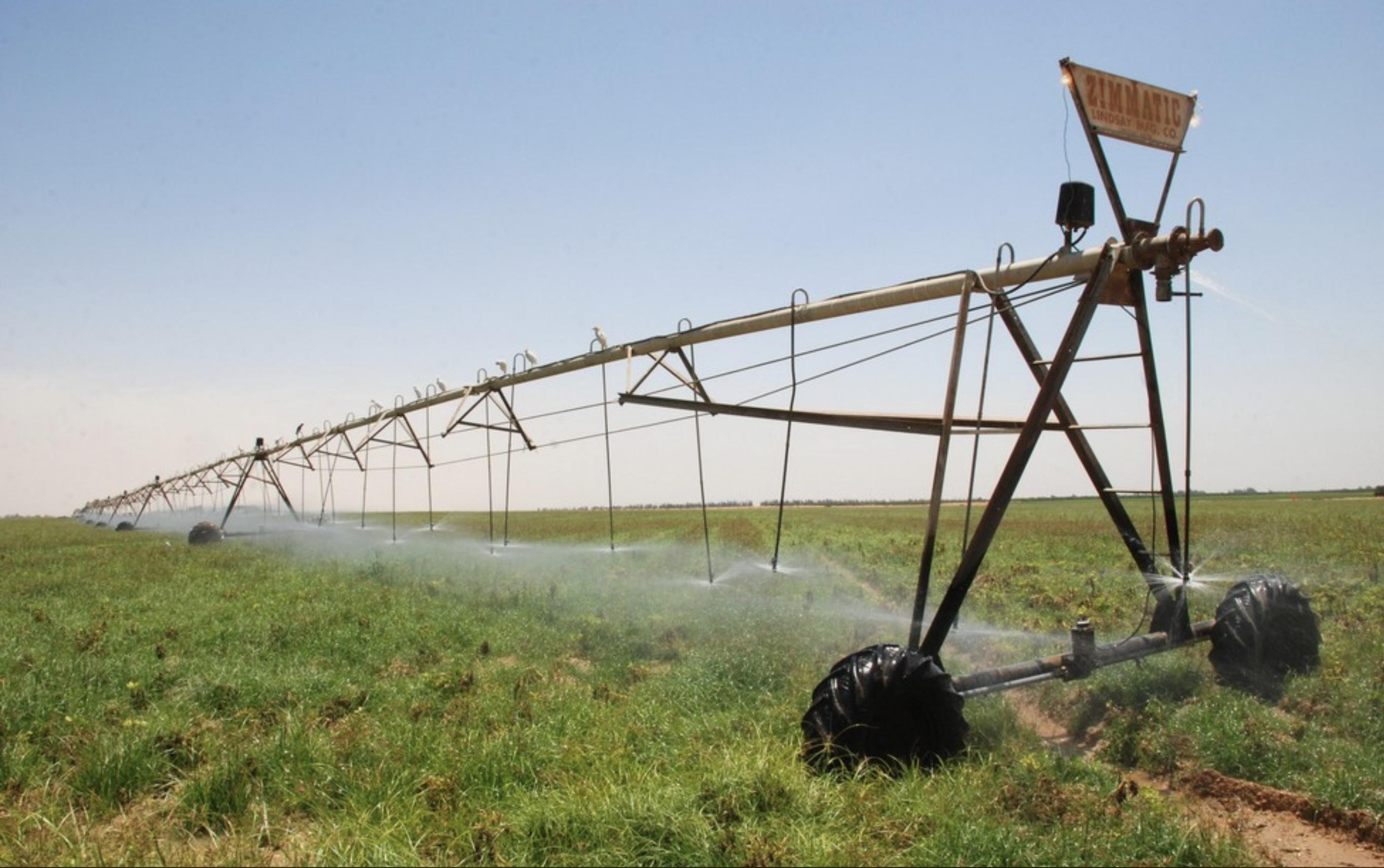 Integrated Agro-Processing & Storage Complex