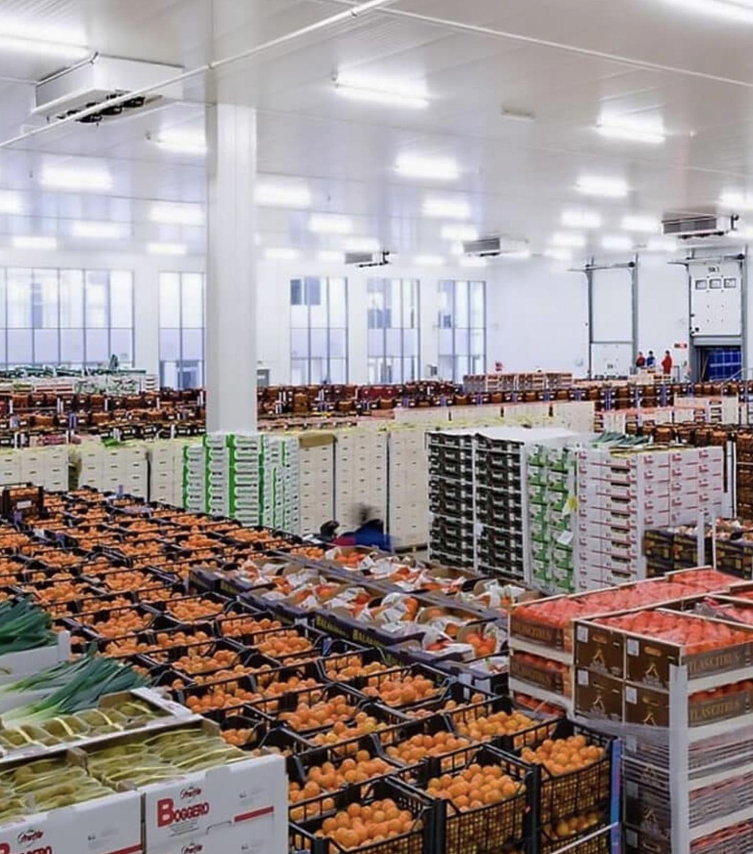 Integrated Agro-Processing & Storage Complex