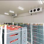 Integrated Agro-Processing & Storage Complex