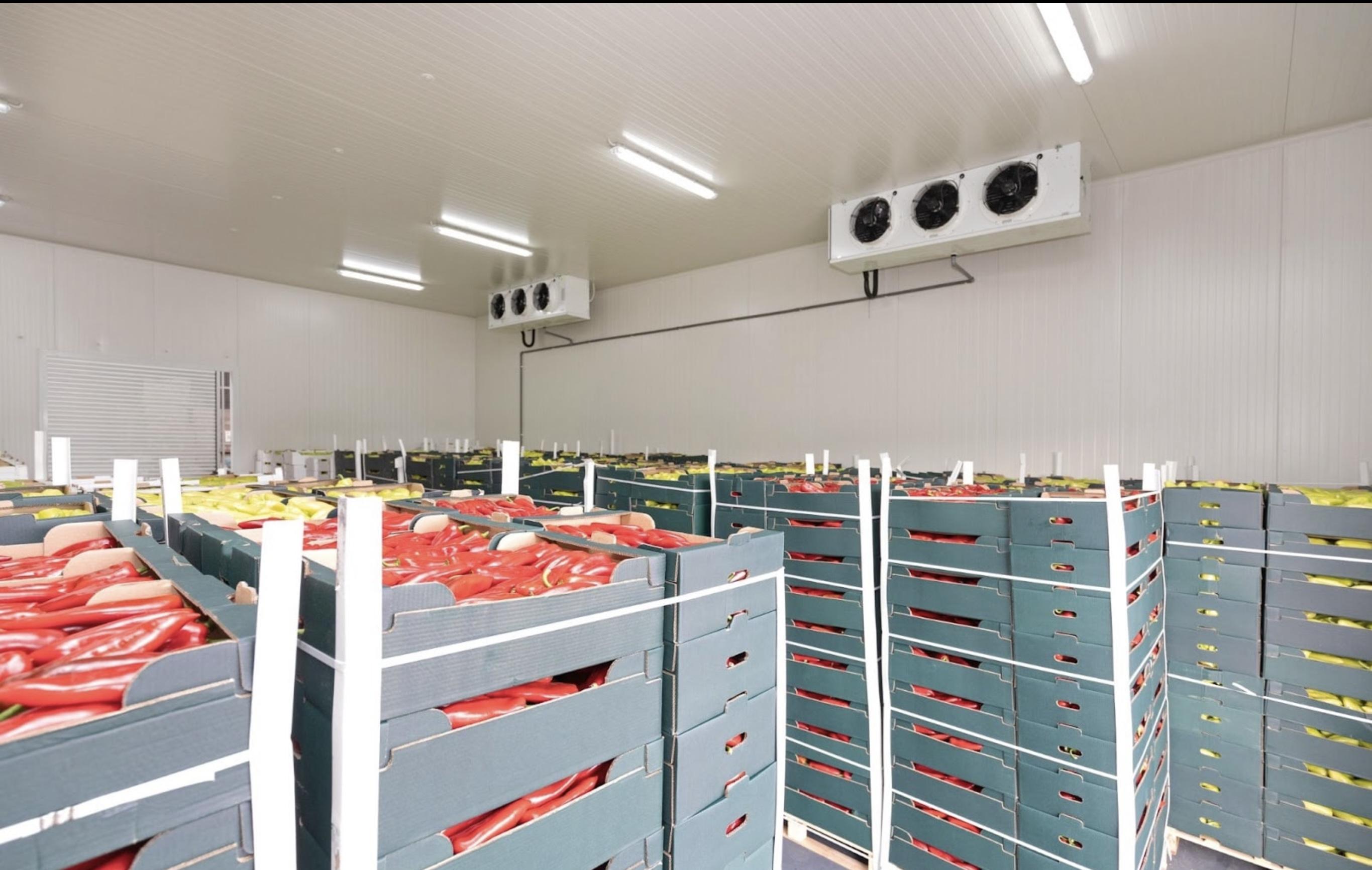 Integrated Agro-Processing & Storage Complex