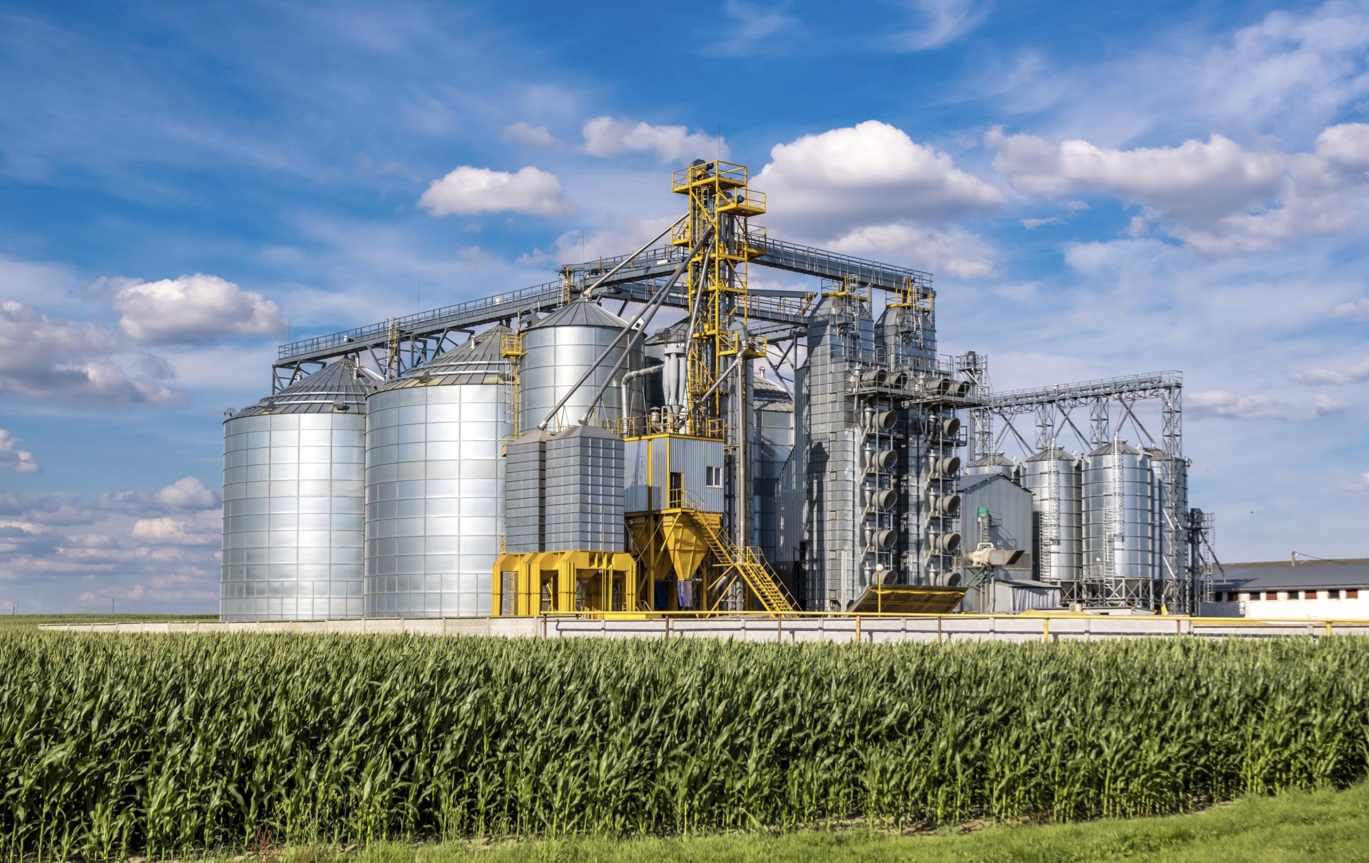 Integrated Agro-Processing & Storage Complex