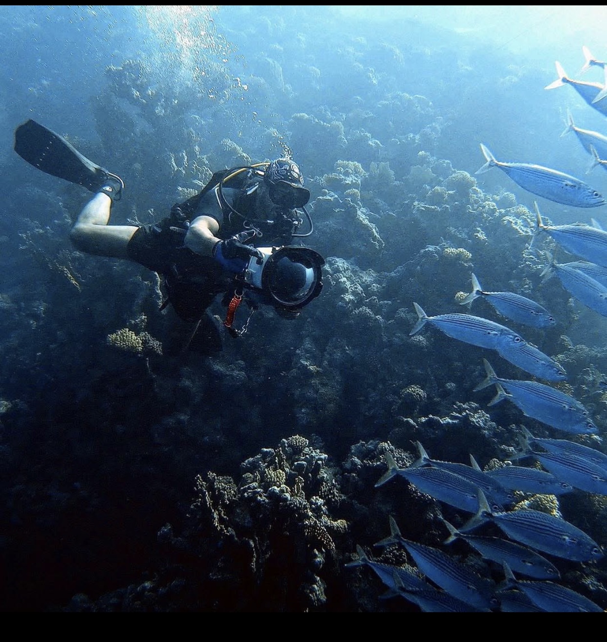 Mazen Said – Creative Director & Cinematic Filmmaker