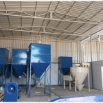 Brown Horse Animal Feed