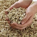 Brown Horse Animal Feed