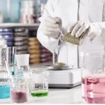 Brown Horse Animal Feed