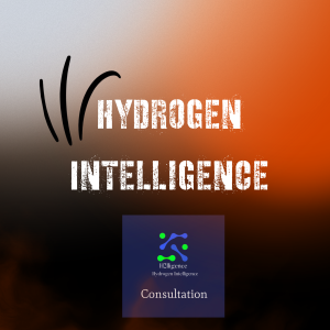 Hydrogen Intelligence