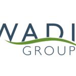 Wadi Group