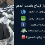 Egycoal