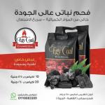 Egycoal