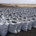 هيجــازي كول