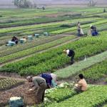 Integrated Agro-Processing & Storage Complex